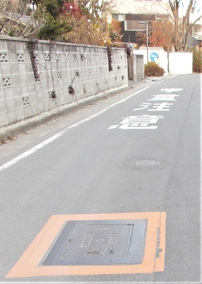 ���{�����ΐ�