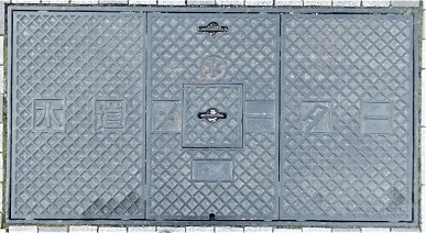 ���{�ʐ���