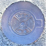 ���q��������