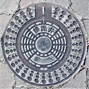 ���q���r�D��