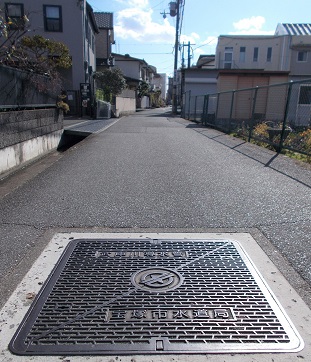 ��ˎs�����Ǖ��ɐ쓱����