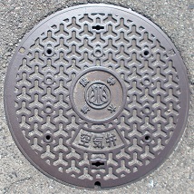 ��_������C��