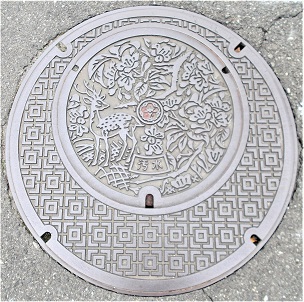 �ޗǎs�}���z�[��