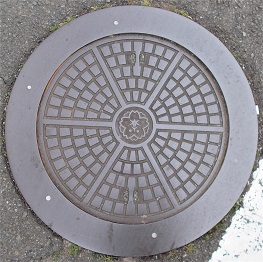 �ޗǎs�}���z�[��