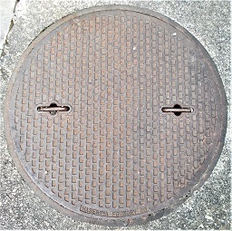 �ޗǎs�}���z�[��