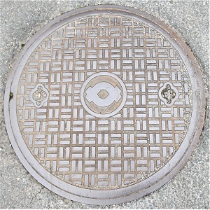 �֐��d�̓}���z�[��