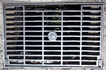 ���{���a�W