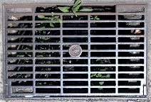 ���{���a�W