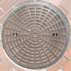 ���{�s�}���z�[��