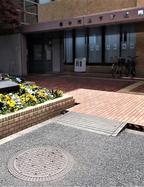 �L���s�}���z�[��