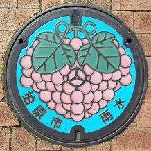 �����s�}���z�[��