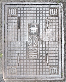 ���s��w�ʐ���