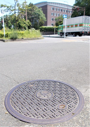 ���s�s�^�֐��d�͋����a