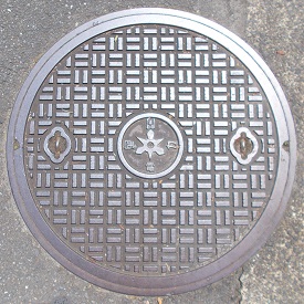 ���s�s�^�֐��d�͋����a