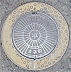 ���q���r�D��