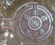 ���q���~����