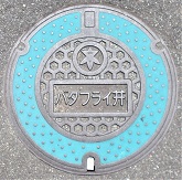 ���Ύs�o�^�t���C��