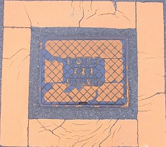 �����s���ΐ�