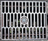 �x�m�{�s���a�W