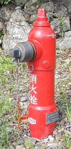 �g�������̏��ΐ�