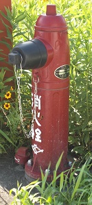 �g�������̏��ΐ�