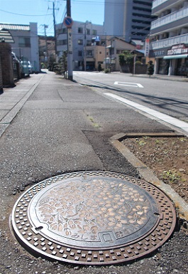 �O���s�}���z�[��