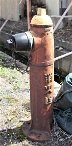 �c�x�����̏��ΐ�