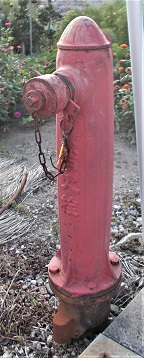 ��䒬���̏��ΐ�