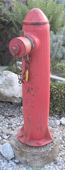 ��䒬���̏��ΐ�