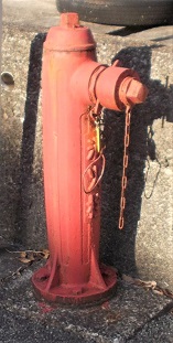 ��䒬���̏��ΐ�