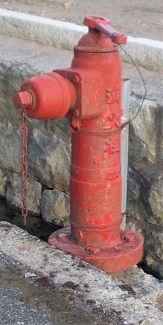 ��䒬���̏��ΐ�