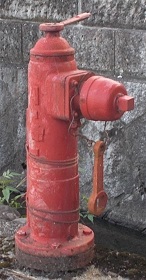 ��䒬���̏��ΐ�