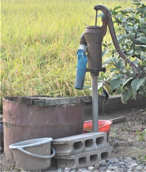 ��䒬�艟���|���v