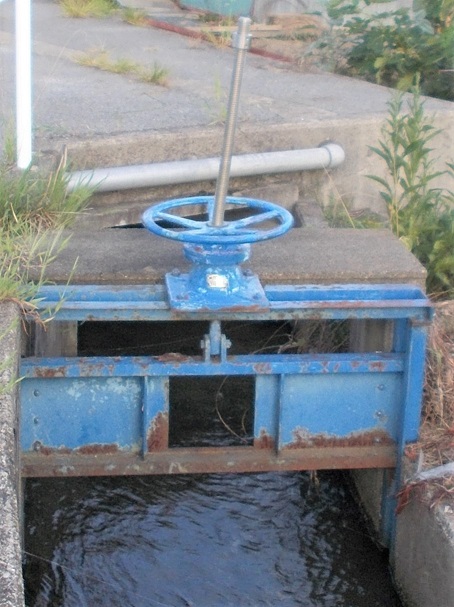 ��䒬����