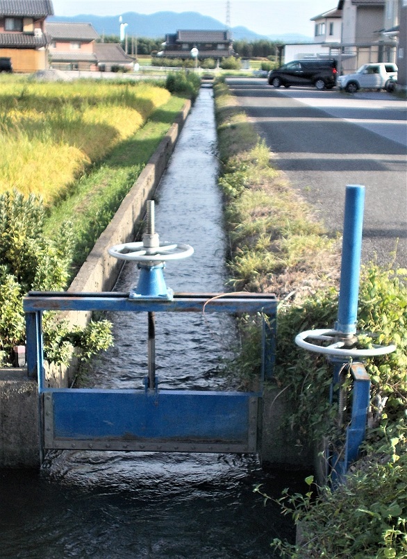 ��䒬����