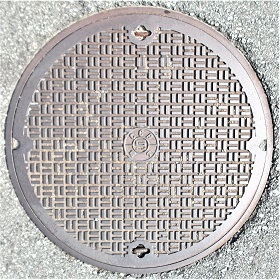 ���Ɍ������a