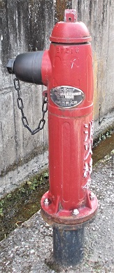 ���쒬���̏��ΐ�