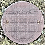 �_�蒬�}���z�[��