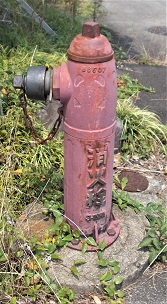 �_�蒬���̏��ΐ�