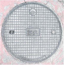 �Ζk���}���z�[��