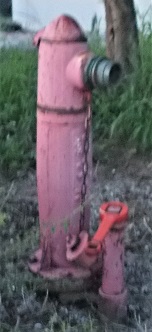 �Ζk�����̏��ΐ�