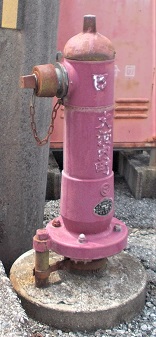 ��͓������̏��ΐ�