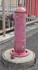 ��͓������̏��ΐ�