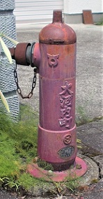 ��͓������̏��ΐ�