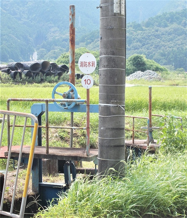 ��͓�������