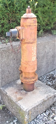 �R�������̏��ΐ�