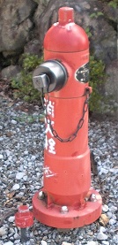 �R�������̏��ΐ�