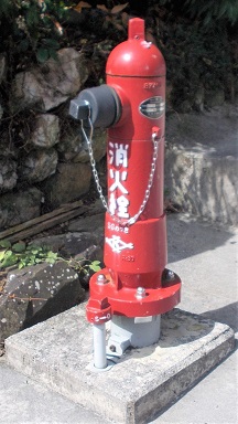 �R�������̏��ΐ�