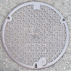 ���Ɍ������a