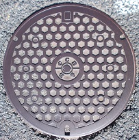 �ޗǌ������a